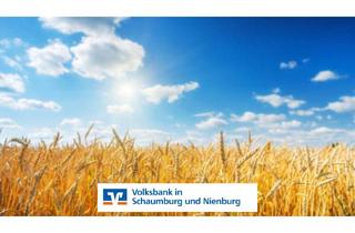 Immobilie kaufen in 31618 Liebenau, Knapp 3 ha Ackerland u. ca. 1,1 ha Wald in Liebenau