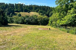 Immobilie kaufen in 71384 Weinstadt, # Freizeit-Grundstück in Weinstadt-Baach #