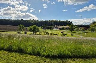 Grundstück zu kaufen in 78476 Allensbach, Allensbach - SONNENVERWÖHNTES BAULAND NAHE DEM BODENSEE