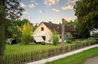 Haus kaufen in 55494 Rheinböllen, Rheinböllen - Hunsrück-Landsitz in Einzellage: Haus + 1,4 ha Eigenland & Wald
