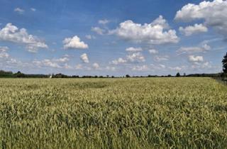 Grundstück zu kaufen in 59269 Beckum, Beckum - landwirtschaftliche Ackerfläche in Beckum zu verkaufen