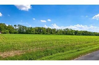 Grundstück zu kaufen in 59269 Beckum, Beckum - landwirtschaftliche Ackerfläche in Beckum zu verkaufen