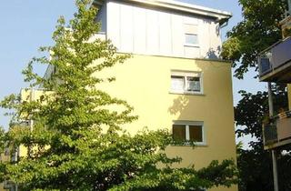 Wohnung mieten in Zeil, 65931 Zeilsheim, schöne 2-Zi-Whg in ruhiger Lage