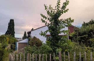 WG-Zimmer mieten in Thesdorfer Weg 119, 25421 Pinneberg, Gemütliches WG-ZIMMER in Pinneberg kurzfristig frei