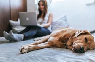 Haus kaufen in 46342 Velen, Homeoffice? Kein Problem! Ausreichend Platz für Arbeit & Leben in einem Haus von Bien-Zenker!