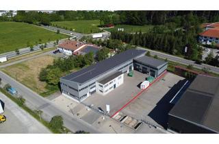 Büro zu mieten in 87600 Kaufbeuren, Moderne Gewerbeimmobilie in Kaufbeuren – Produktion, Lager, Büro & großzügige Außenflächen