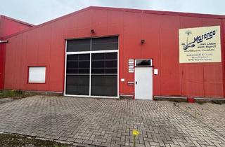 Büro zu mieten in An De Wurth, 48496 Hopsten, Gewerbehalle mit Büroräumen, WC´s und Sektionaltor (Rheine,Lingen,Ibbenbüren)