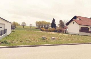 Gewerbeimmobilie kaufen in 85110 Kipfenberg, Baugrundstück