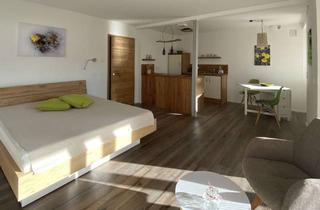 Wohnung mieten in 87672 Roßhaupten, Hochwertige neue möblierte Einraumwohnung mit Südbalkon in Roßhaupten/Ostallgäu