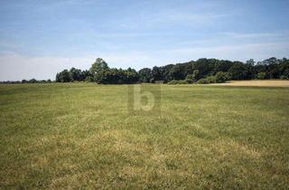 Grundstück zu kaufen in 18573 Dreschvitz, GRÜNLANDFLÄCHE - KAPITALANLAGE MIT PV-POTENTIAL