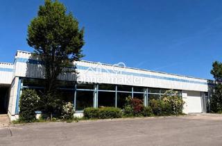 Gewerbeimmobilie mieten in Meißener Dorfstraße 35, 32423 Minden, Lager-/Produktionshalle mit optimaler Erreichbarkeit (Kreuz B428/B65)