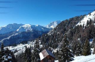 Haus kaufen in 83024 Rosenheim, Rosenheim - Berghütte zu verkaufen in den Belluneser DOLOMITEN