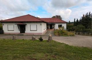 Mehrfamilienhaus kaufen in 06333 Hettstedt, Hettstedt - Massives MFH mit Büro, Solar & 5 Garagen - 3.344 m² Grund