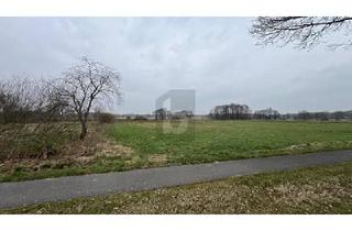 Grundstück zu kaufen in 27412 Wilstedt, Wilstedt - SONNIGES WEIDEPARADIES FÜR TIERHALTUNG