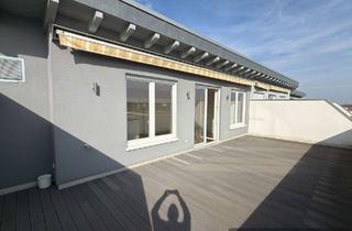 Penthouse mieten in Am Speyerbach 34,8, 67433 Neustadt, Neuere Penthouse Wohnung in Neustadt an der Weinstrasse