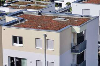 Wohnung mieten in Am Holzplatz 11, 74376 Gemmrigheim, stilvolle 4-Zimmer-Wohnung BJ2022 mit EBK und Balkon im 1.OG in Gemmrigheim