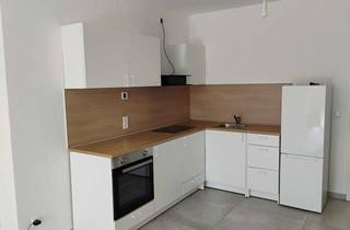 Wohnung mieten in 75038 Oberderdingen, *NEUBAU* Moderne und helle 2-Zimmer-Wohnung mit eigenem Garten