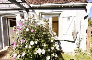 Haus mieten in 16949 Putlitz, Charmantes, frisch renoviertes Einfamilienhaus mit Garten, Glasfaser & Wärmepumpe