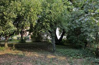 Grundstück zu kaufen in Winklstraße, 93101 Pfakofen, Baugrundstück mit altem Obstgarten in Pfakofen
