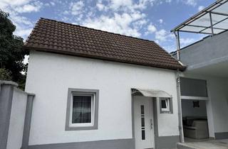 Immobilie mieten in 67240 Bobenheim-Roxheim, Voll möbiliertes 2-Zimmer Haus/Apartment in Bobenheim-Roxheim