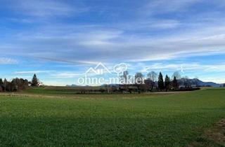 Grundstück zu kaufen in 83254 Breitbrunn, Baugrundstück mit Bergblick in Breitbrunn am Chiemsee