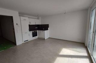 Wohnung mieten in 71101 Schönaich, Neue, moderne 1-Zimmer-Einliegerwohnung in Schönaich
