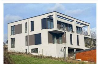 Penthouse mieten in Am Lieschberg 44, 54470 Bernkastel-Kues, Exklusive Penthouse-Wohnung Erstbezug in Bernkastel-Kues