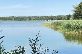 Einfamilienhaus kaufen in 39619 Arendsee, Ankommen, wohlfühlen, zu Hause sein, wo andere Urlaub machen, Einfamilienhaus direkt in Arendsee