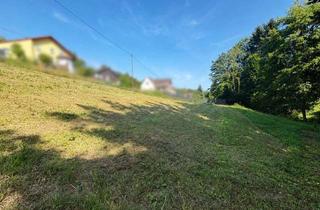 Grundstück zu kaufen in 56567 Neuwied, Großzügiges Grundstücksangebot mit vielseitigem Entwicklungspotenzial in Neuwied-Segendorf