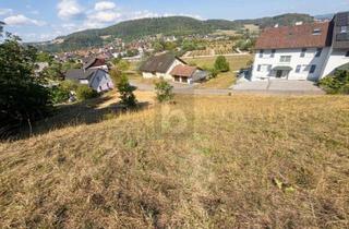 Grundstück zu kaufen in 79761 Waldshut-Tiengen, UNVERBAUBARE AUSSICHT IN BESTER HANGLAGE