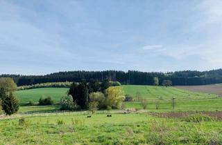 Grundstück zu kaufen in 86368 Gersthofen, Exklusive Aussichtslage mit unverbaubarem Blick ins Grüne