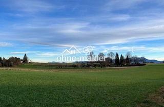 Immobilie kaufen in 83254 Breitbrunn, Baugrundstück mit Bergblick in Breitbrunn am Chiemsee