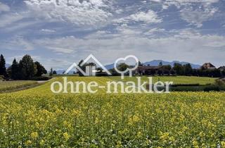 Immobilie kaufen in 83254 Breitbrunn, Baugrundstück mit Bergblick in Breitbrunn am Chiemsee