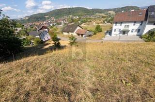 Grundstück zu kaufen in 79761 Waldshut-Tiengen, UNVERBAUBARE AUSSICHT IN BESTER HANGLAGE