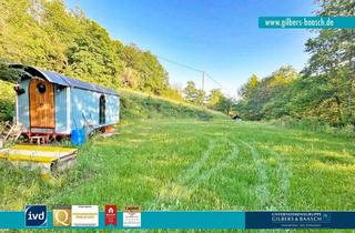 Grundstück zu kaufen in 54317 Sommerau, Sommerau: Schönes Freizeitgrundstück mit Bestandsgebäude in idyllischer Lage des Ruwer-Tals
