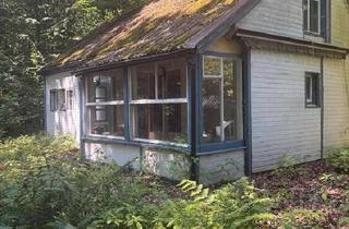 Haus kaufen in 21218 Seevetal, Seevetal - Wochenendhaus mit Erstwohnsitz