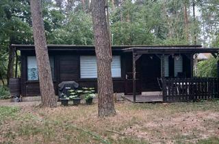 Haus kaufen in 04849 Bad Düben, Bad Düben - Waldgrundstück mit Wochenendhaus - sofort verfügbar