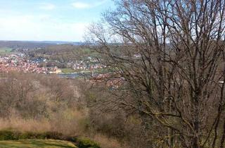 Wohnung kaufen in 97877 Wertheim, Wertheim - Wohnen mit Urlaubsfeeling und fantastischen Ausblick auf den Main