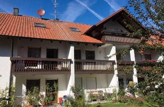 Wohnung kaufen in 94060 Pocking, Pocking - Schöne freie 1-Zimmer Wohnung Keller Stellplatz
