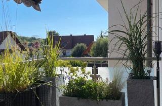 Wohnung kaufen in 77955 Ettenheim, Ettenheim - Provisionsfreie, modernisierte 3-Zimmer Wohnung in Ettenheim