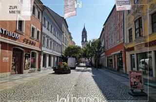 Wohnung mieten in 02625 Bautzen, Möblierte 1-Raum-Wohnung im Bautzener Zentrum