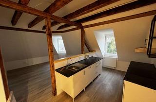 Lofts mieten in Kurfürstenstraße 20, 68723 Schwetzingen, Stilvolles Wohnen über den Dächern der Stadt: Kernsaniertes Loft-Juwel mit Garage & Einbauküche