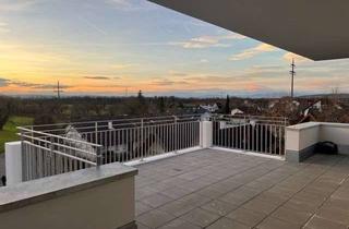 Penthouse mieten in Bromenackerweg 16, 79576 Weil am Rhein, Penthouse mit 2 Zimmern in Weil am Rhein