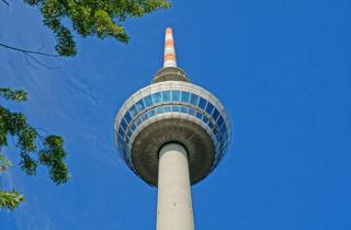 Wohnung mieten in Q 13, 68159 Mannheim, Auch WG-geeignet! Perfekte 2-Zimmer-Wohnung mit großer Küche und Balkon.