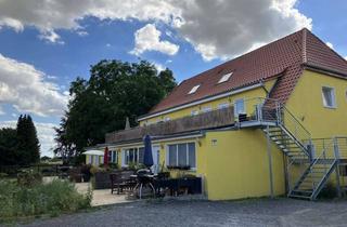 Wohnung mieten in Piester Weg 3c, 30982 Pattensen, Attraktive 2,5-Zimmer-Erdgeschosswohnung mit Terrase, Garten und Einbauküche in Pattensen