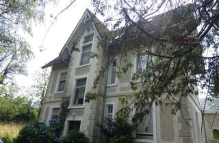 Villa kaufen in Loffenauer Str. 20, 76593 Gernsbach, Denkmalgeschützte Villa mit großem Grundstück