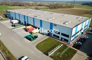 Gewerbeimmobilie mieten in 63110 Rodgau, Jetzt besichtigen! | 2.000m² Lagerfläche | Rampenandienung