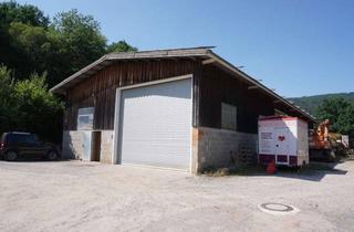 Gewerbeimmobilie kaufen in 69434 Heddesbach, Lagerhalle/Werkstatt mit großem Außenbereich