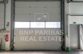 Gewerbeimmobilie mieten in 53859 Niederkassel, Lager- und Logistikhalle | 8 m UKB | Rampenniveau & ebenerdige Andienung | Vermietung über BNPPRE