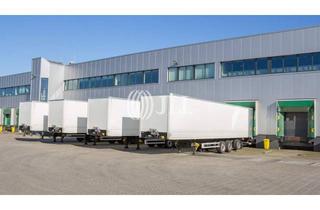 Gewerbeimmobilie mieten in 29683 Bad Fallingbostel, Moderne Logistikflächen
